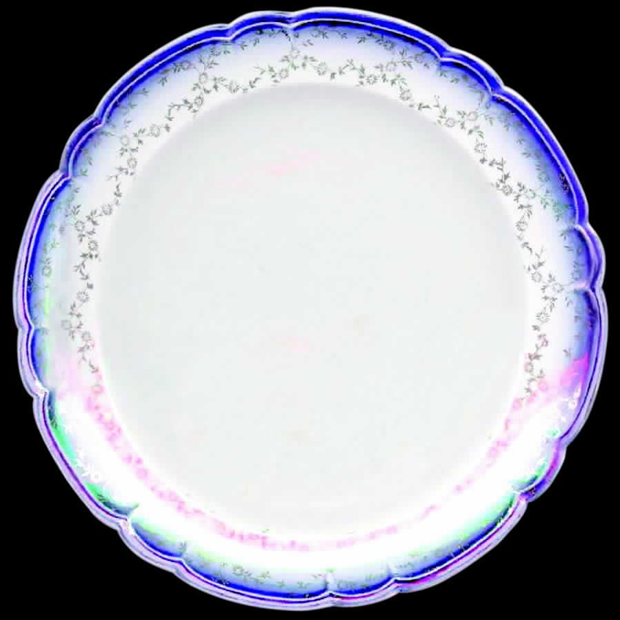 FSX37 Dinner Plate by French Saxon-1