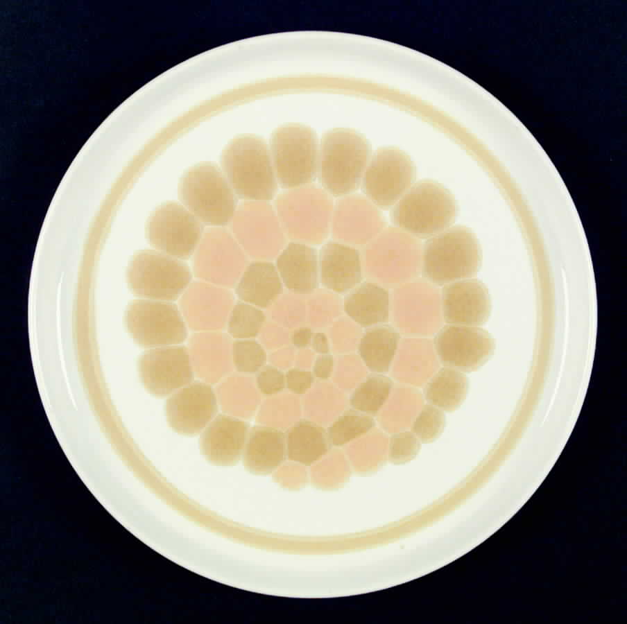 Sundance (England) Dinner Plate by Franciscan-1