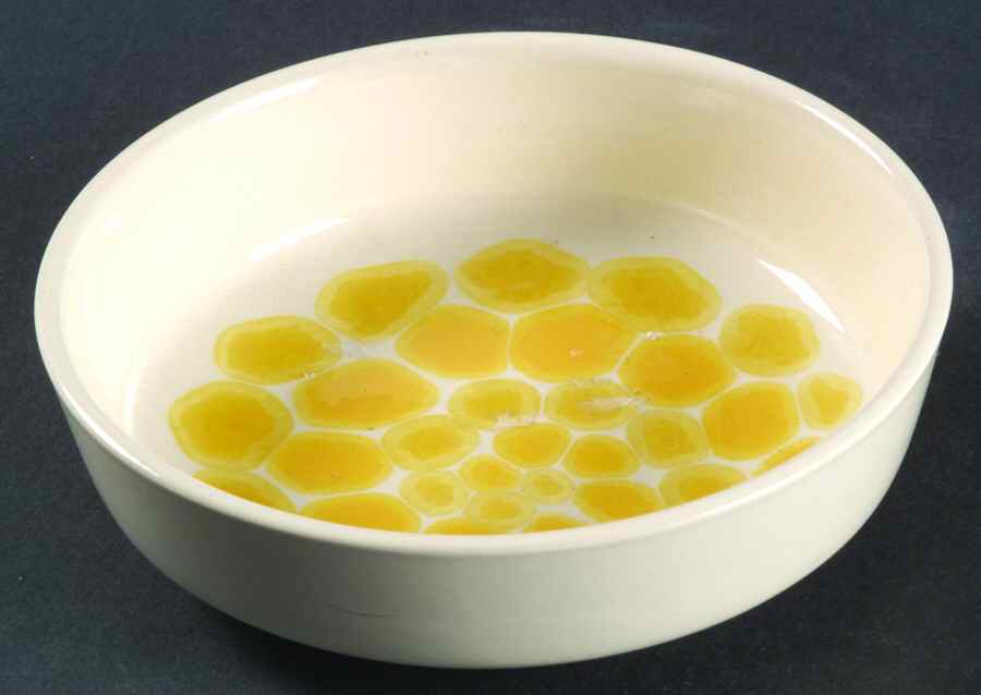 Sundance (England) Fruit/Dessert (Sauce) Bowl by Franciscan-1