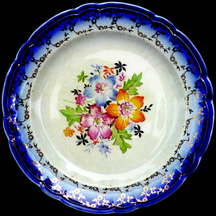 FSX41 Dinner Plate by French Saxon-1