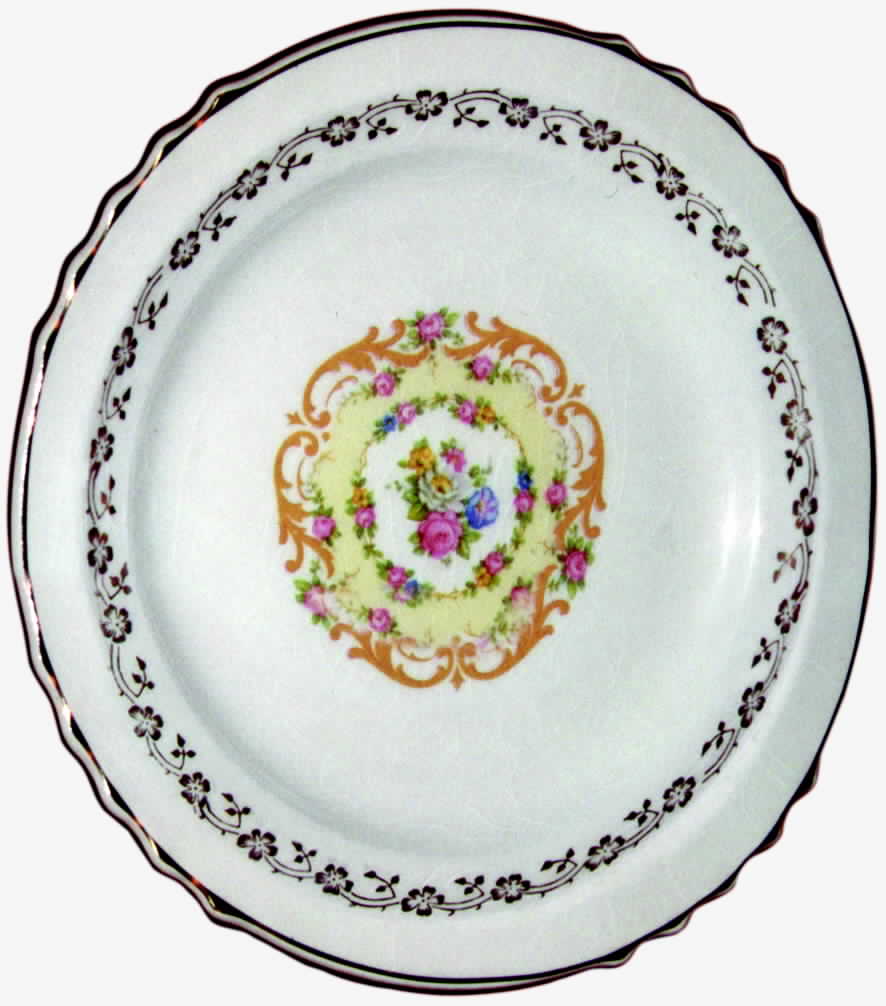 FSX42 Dinner Plate by French Saxon-1