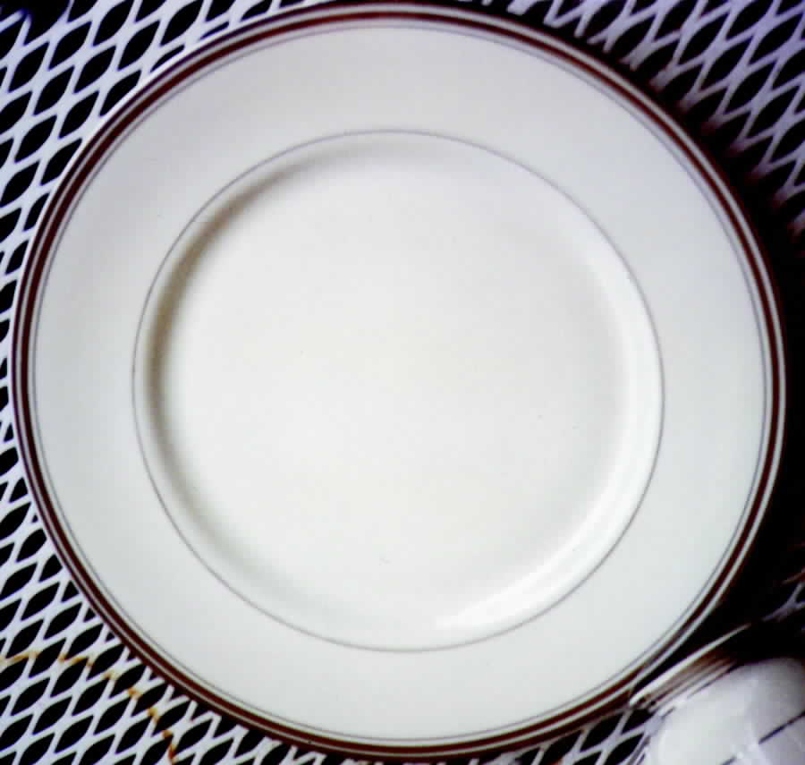 FN10 Dinner Plate by Franciscan-1