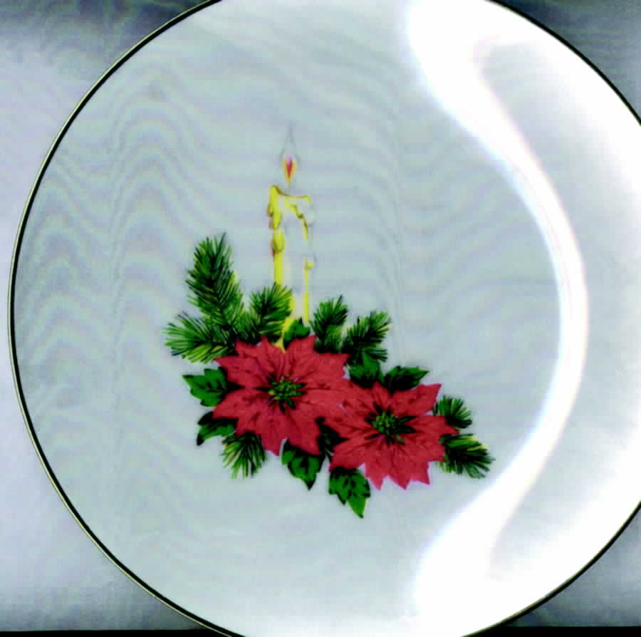 FMT1 Dinner Plate by Fairmont Porcelain-1