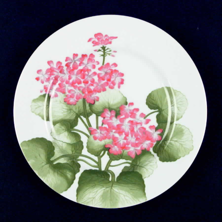 FIT25 Salad Plate by Fitz & Floyd-1