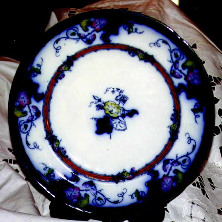 Floweret Dinner Plate by Francis Morley-1