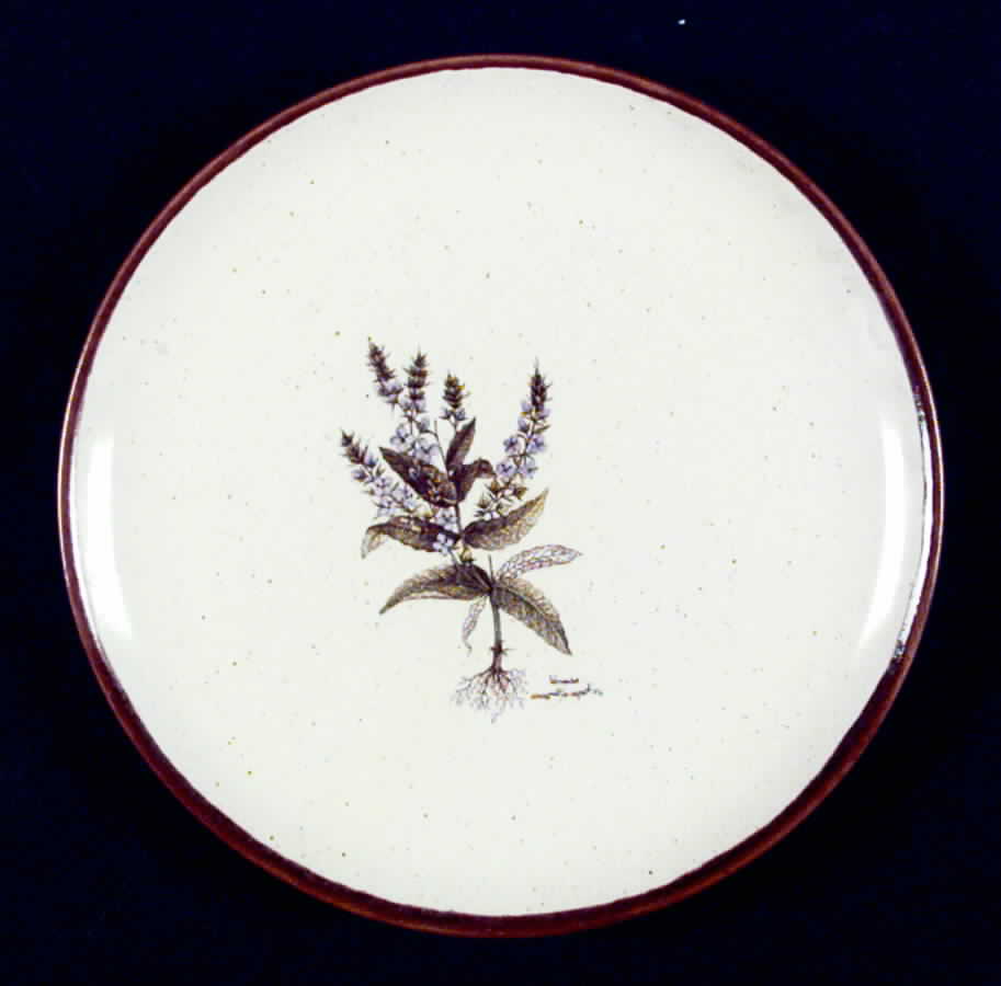 FAN10 Salad Plate by France-1