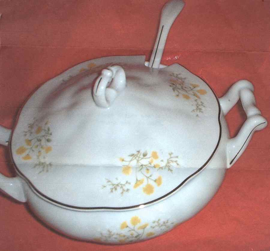FAV23 Tureen & Lid w/Ladle by Favolina-Karolina-1