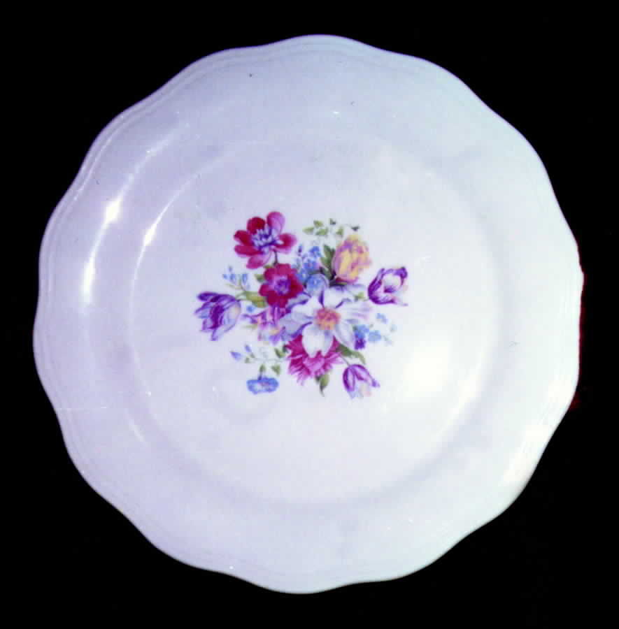 FSX50 Dinner Plate by French Saxon-1