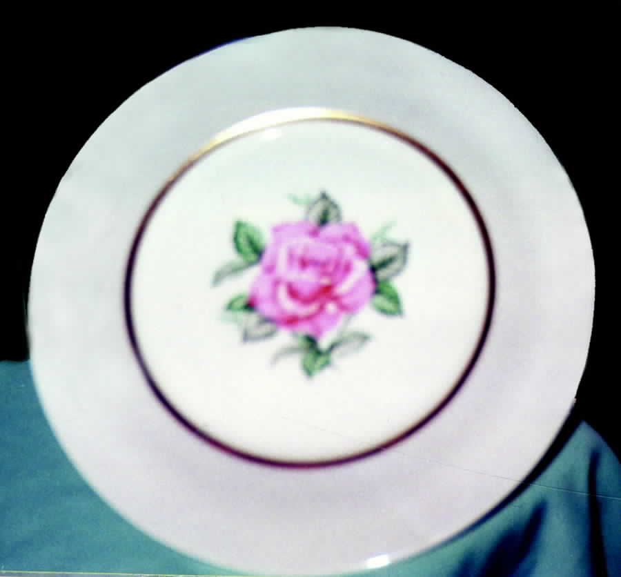 FIA6 Dinner Plate by Fine Arts-1
