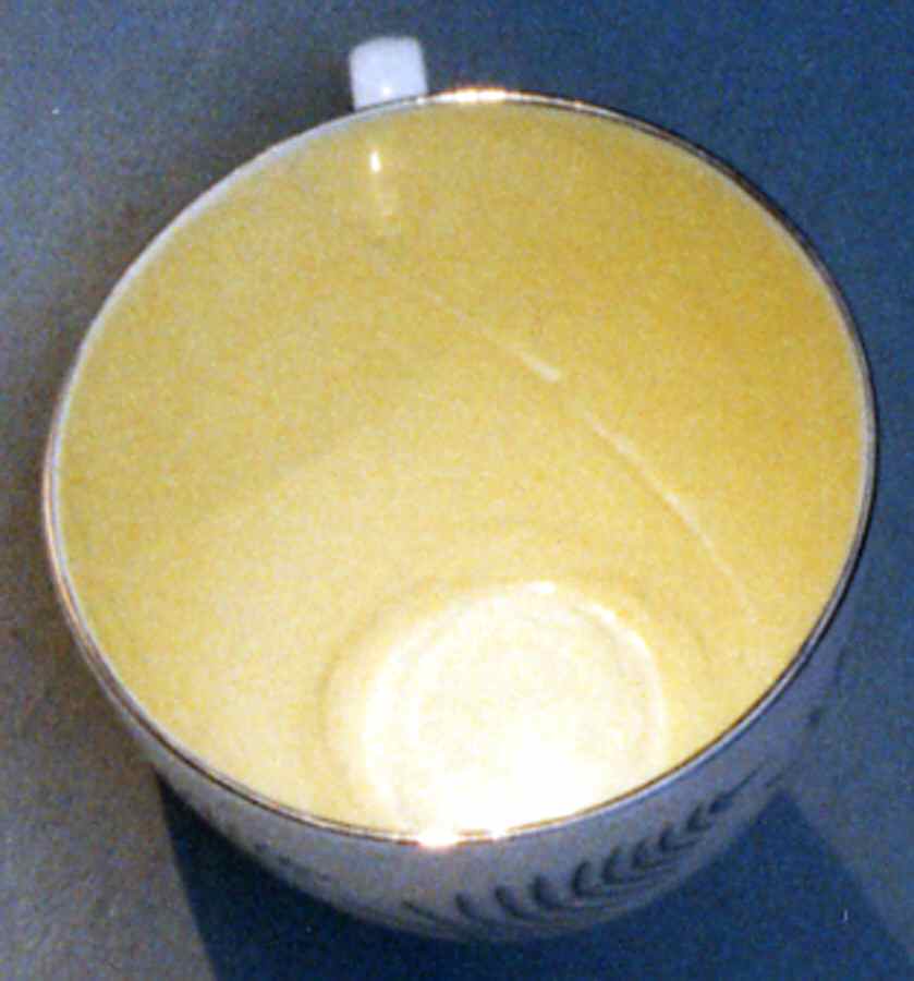 Fern Yellow Flat Cup by Foley-1