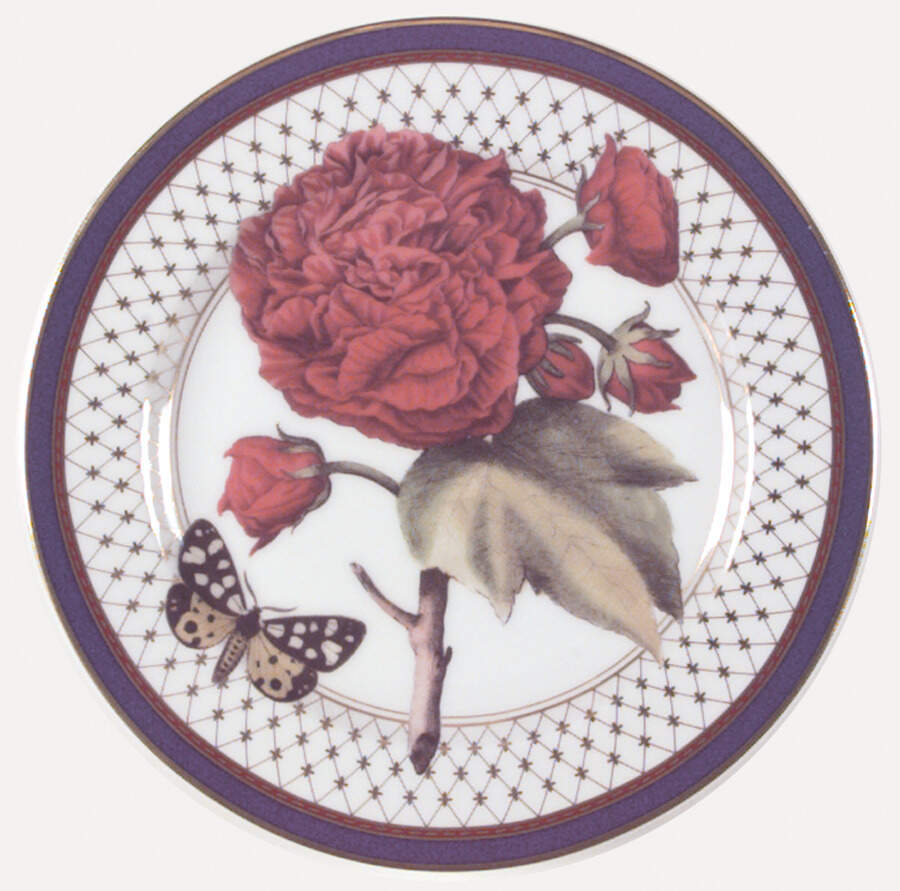 Fleurs Et Papillons Salad Plate by Fitz & Floyd-1