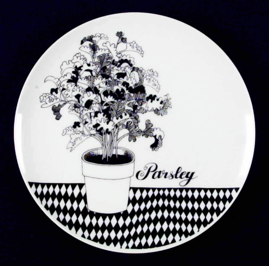 Herb Black Coupe Salad Plate by Fitz and Floyd-1