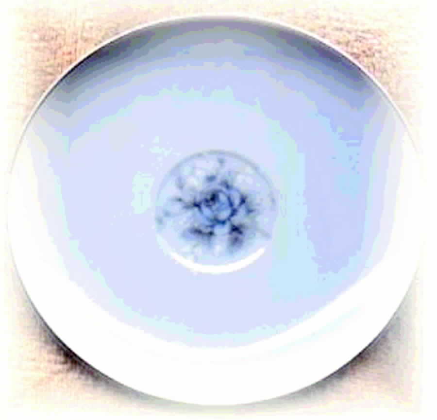 Elegant Rose Saucer by Fine China of Japan-1