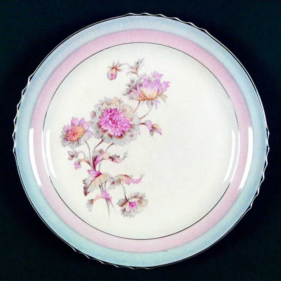 FSX53 Dinner Plate by French Saxon-1