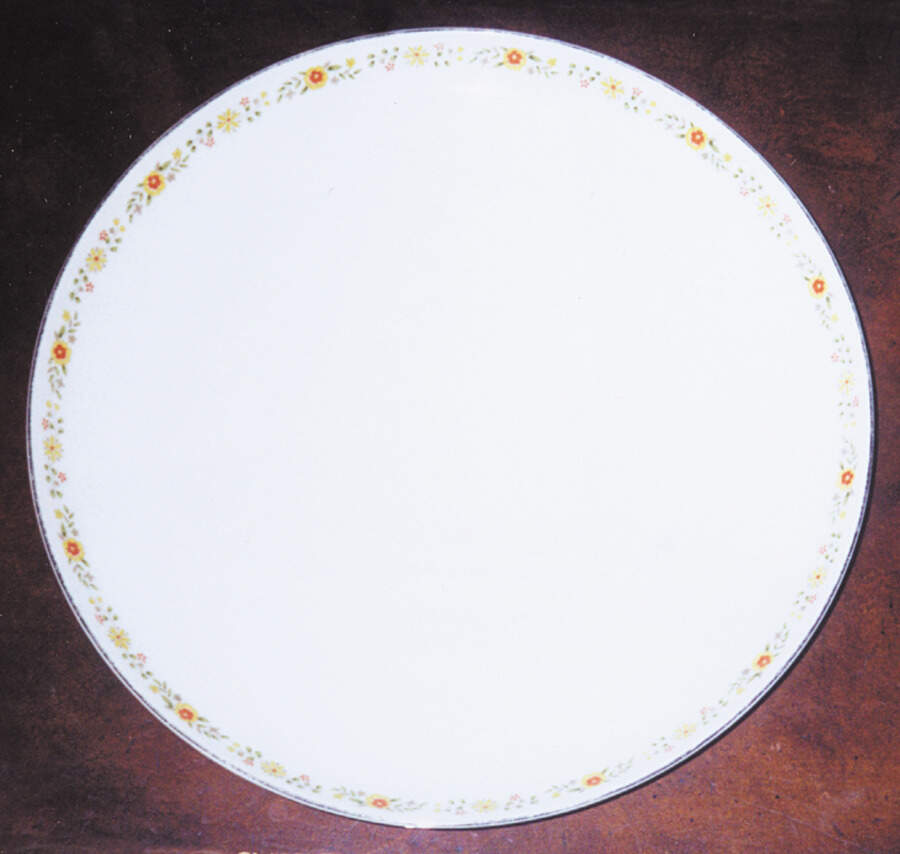 Ridgewood Dinner Plate by Fine China of Japan-1