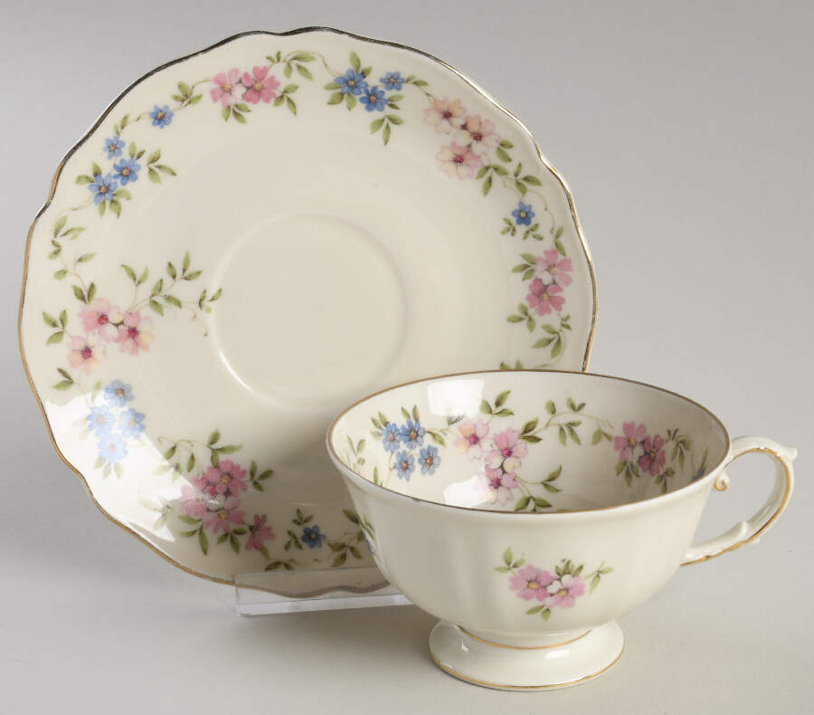 Florina Footed Cup & Saucer Set by Franconia-Krautheim & Adelburg-1