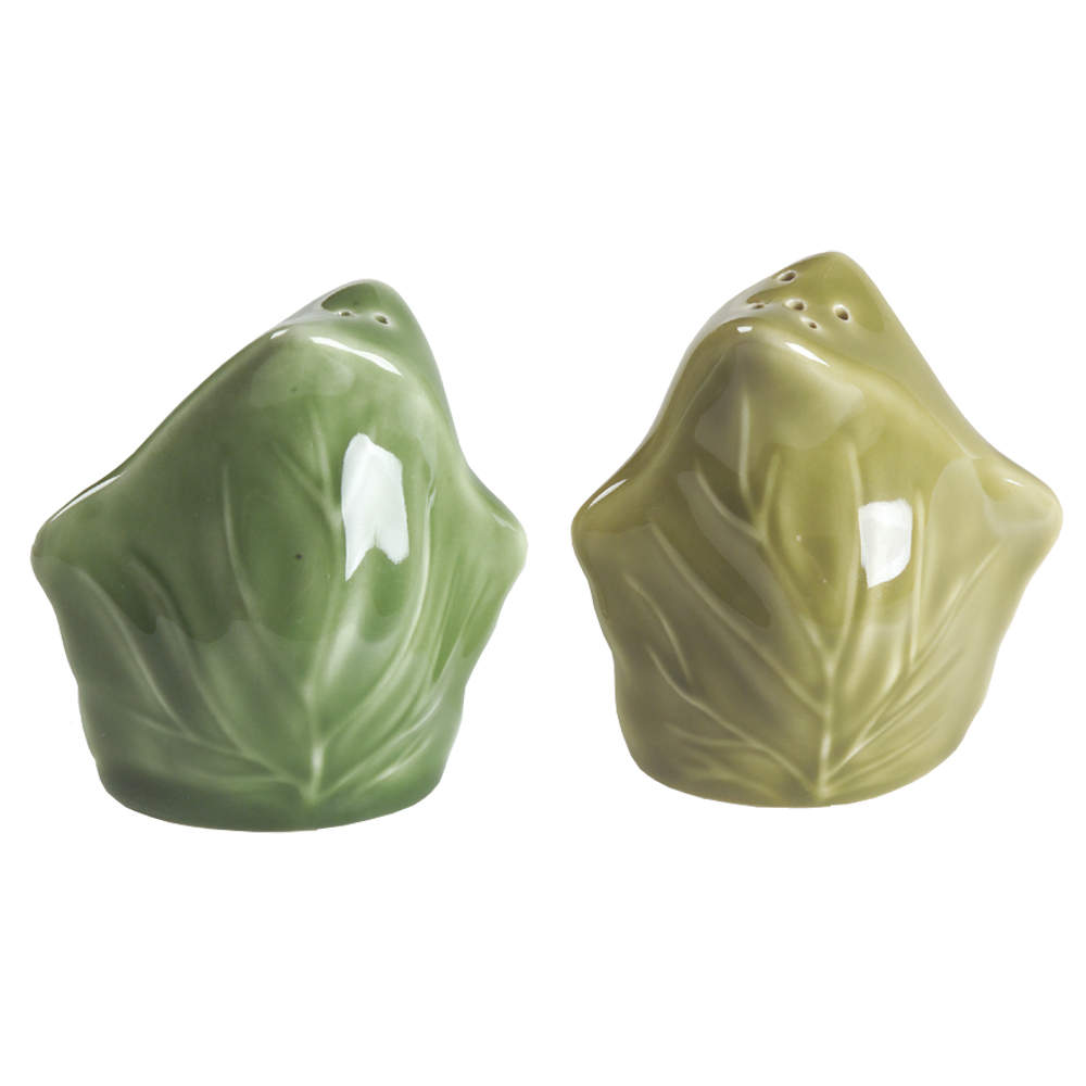 Ivy II (England) Salt & Pepper Set by Franciscan-1