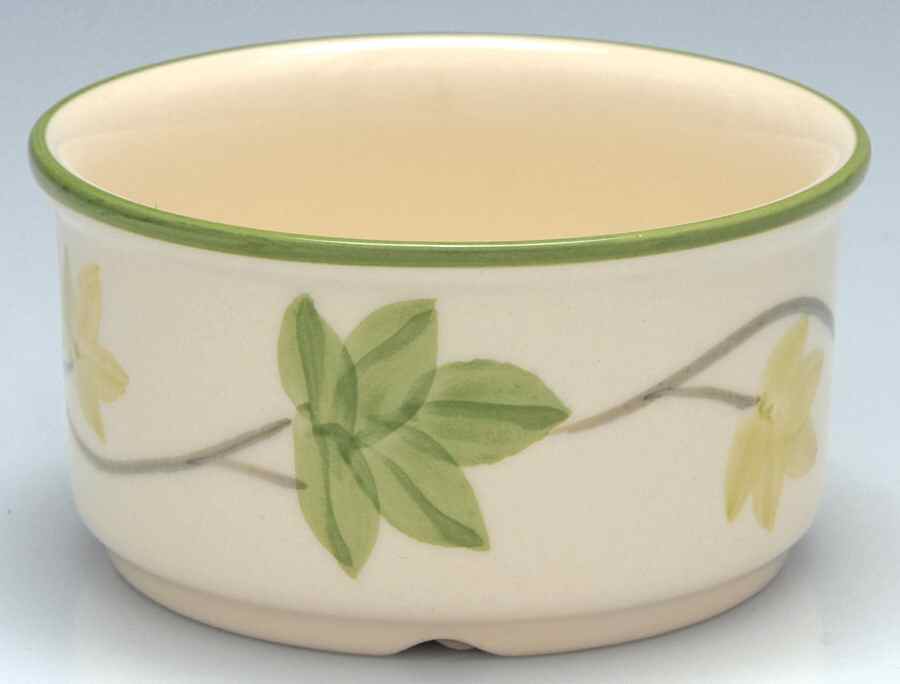 Ivy II (England) Ramekin by Franciscan-1