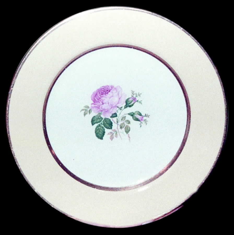 FL26 Dinner Plate by Flintridge-1