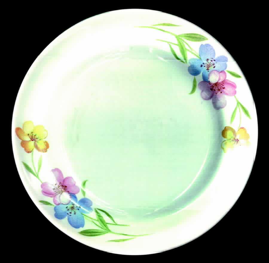 FSX64 Salad Plate by French Saxon-1