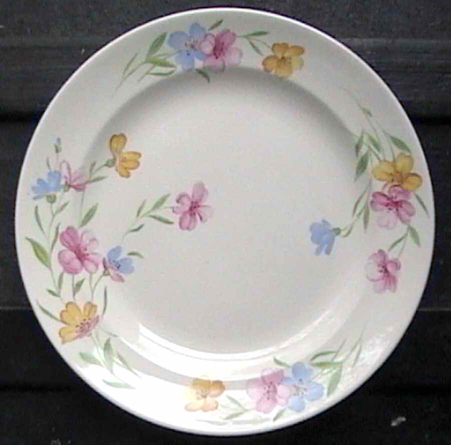 FSX64 Dinner Plate by French Saxon-1