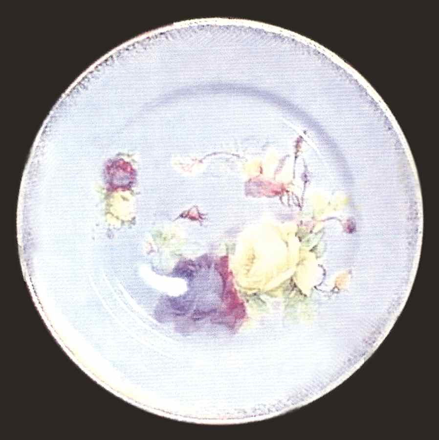 FME17 Dinner Plate by FA Mehlem-1