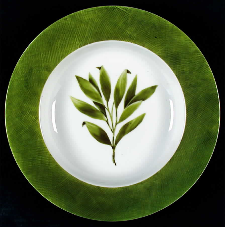 Bayes 10" Soup/Pasta Bowl by Fitz & Floyd-1