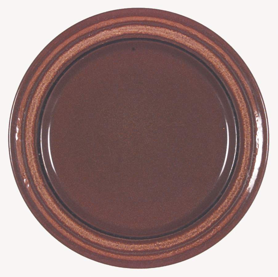 Cinnamon Dinner Plate by Franciscan-1