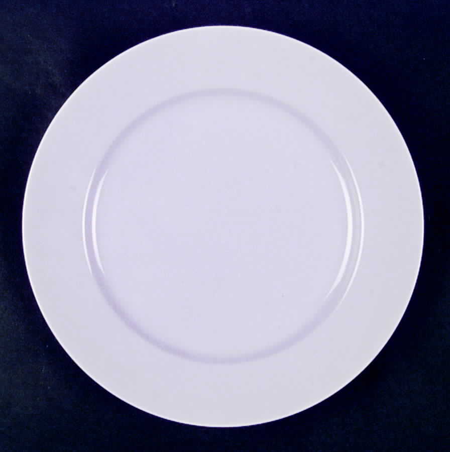 Total Color Spectrum Lilac Dinner Plate by Fitz & Floyd-1