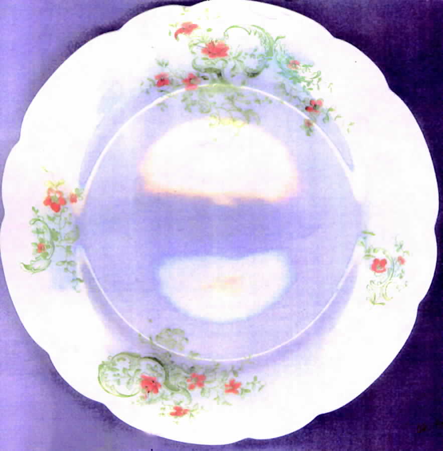 7600 Dinner Plate by Austria-1