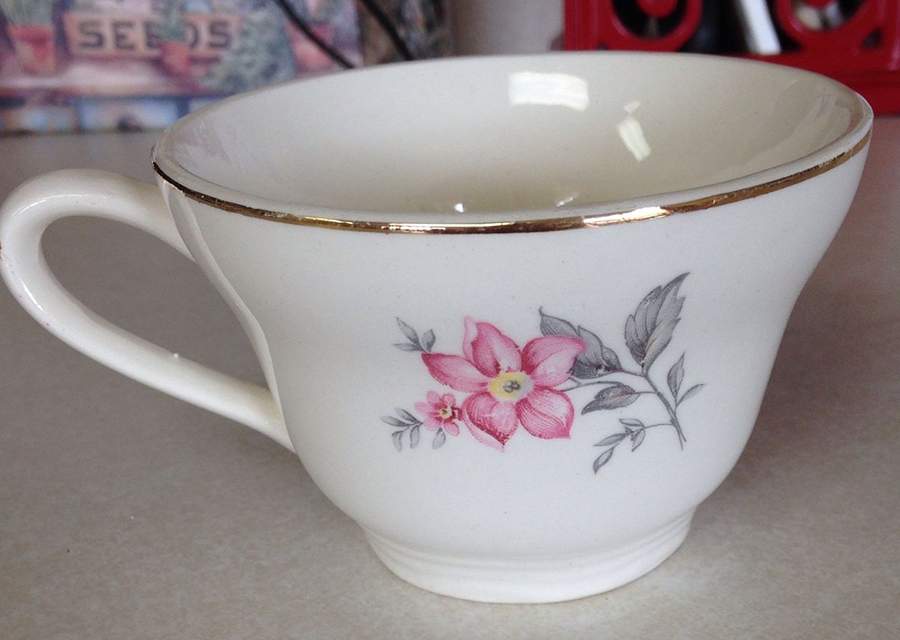 Azalea Flat Cup & Saucer Set by French Saxon-1