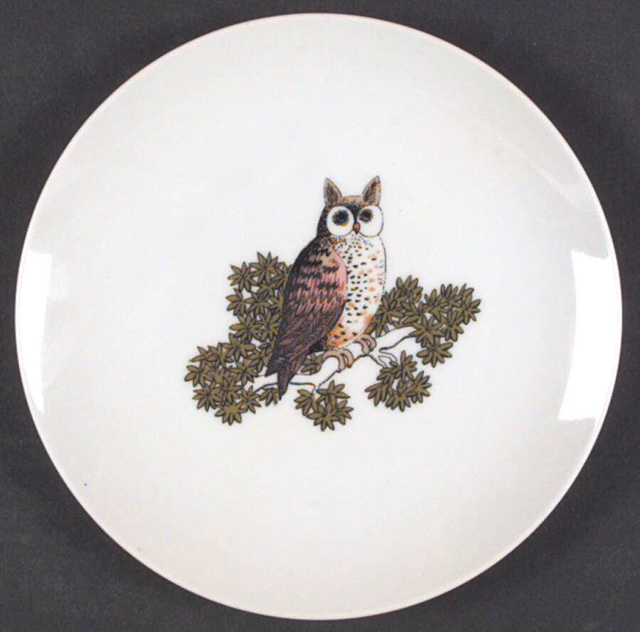 Variations Hooty Owls Salad Plate by Fitz & Floyd-1