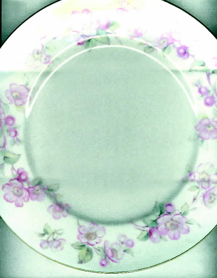 Wild Rose Dinner Plate by Furstenberg-1