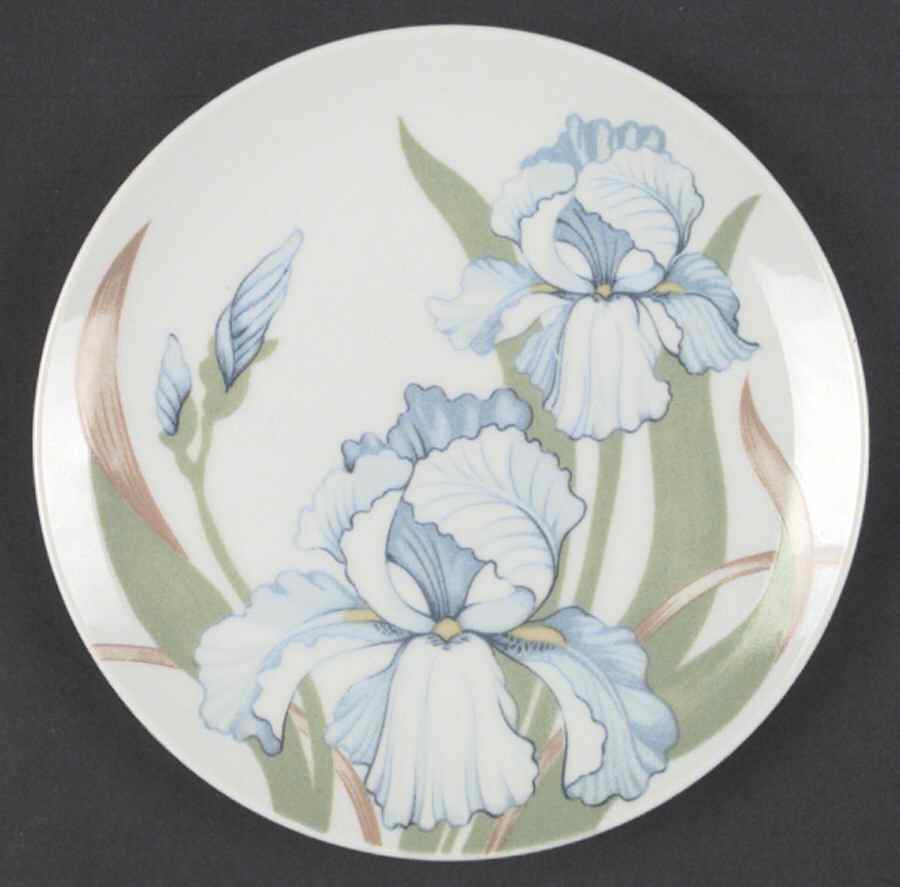 FIT35 Dessert/Pie Plate by Fitz & Floyd-1