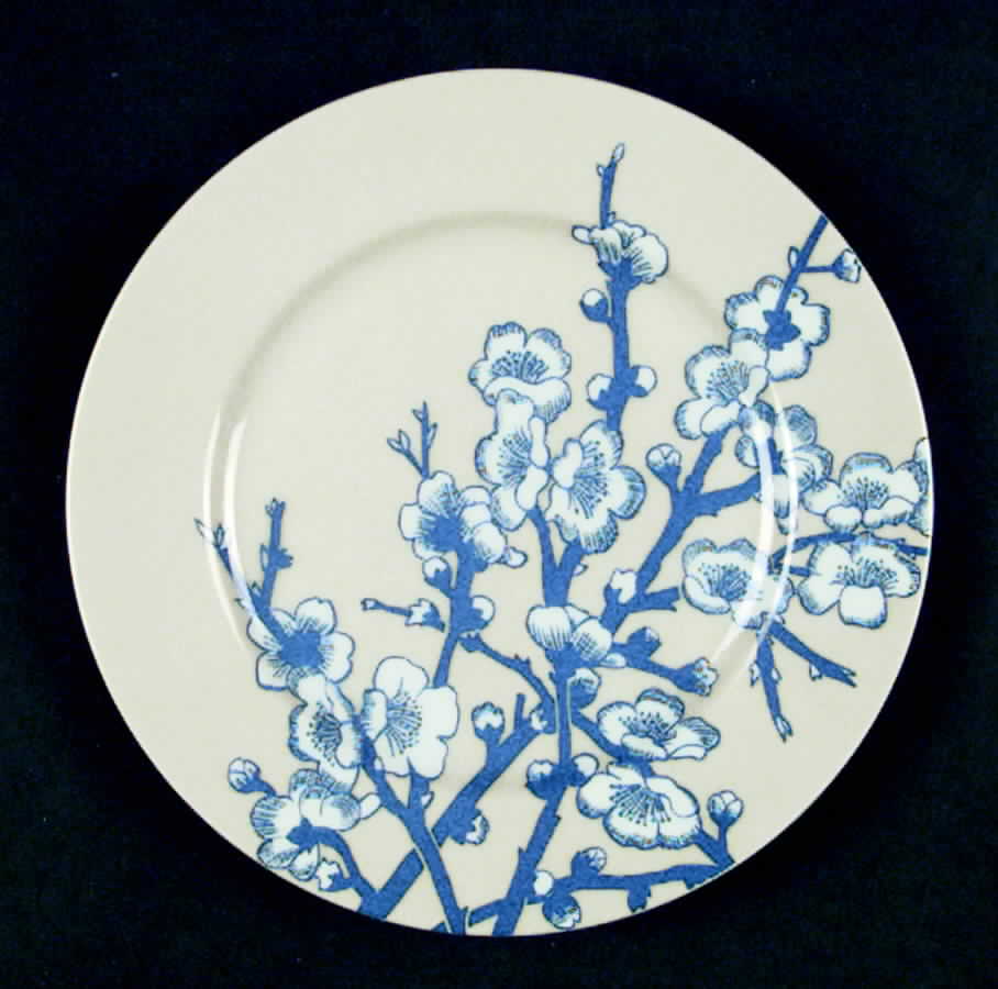 FIT37 Salad Plate by Fitz & Floyd-1