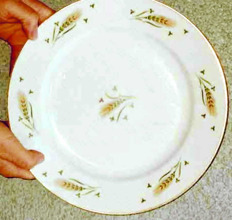 FUJ11 Dinner Plate by Fuji-1