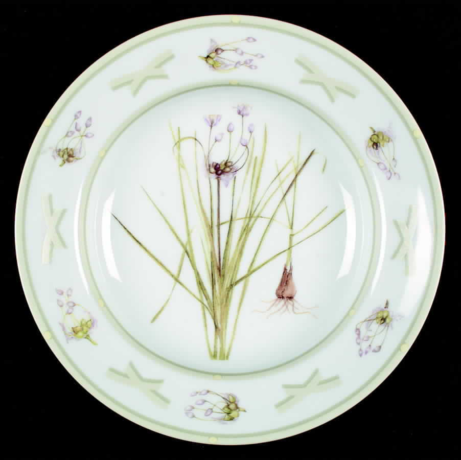 Philanthia Large Rim Soup Bowl by Fitz & Floyd-1