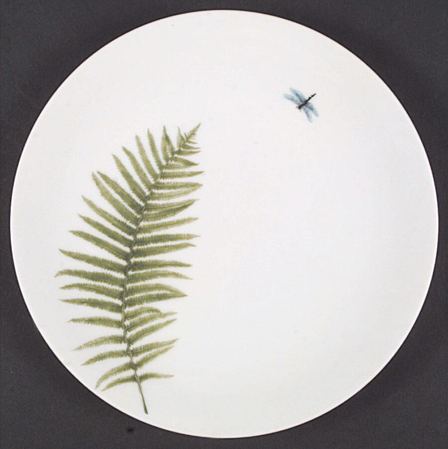 Imperial Fern Salad Plate by Fitz and Floyd-1