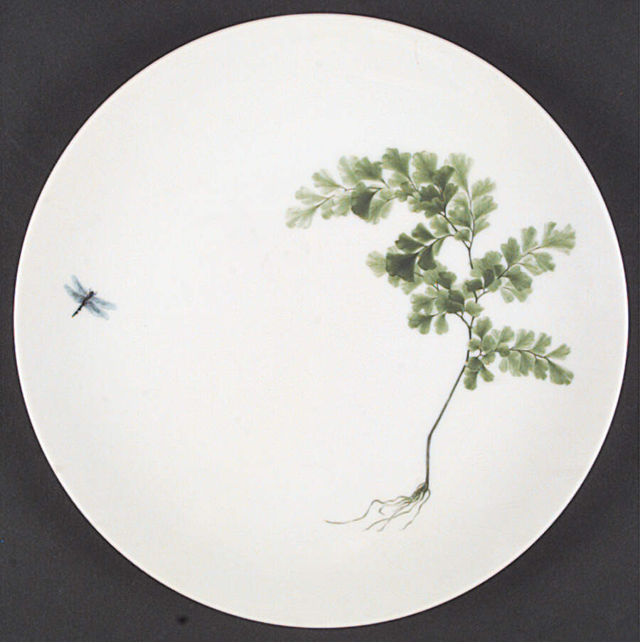 Imperial Fern Salad Plate by Fitz & Floyd-1