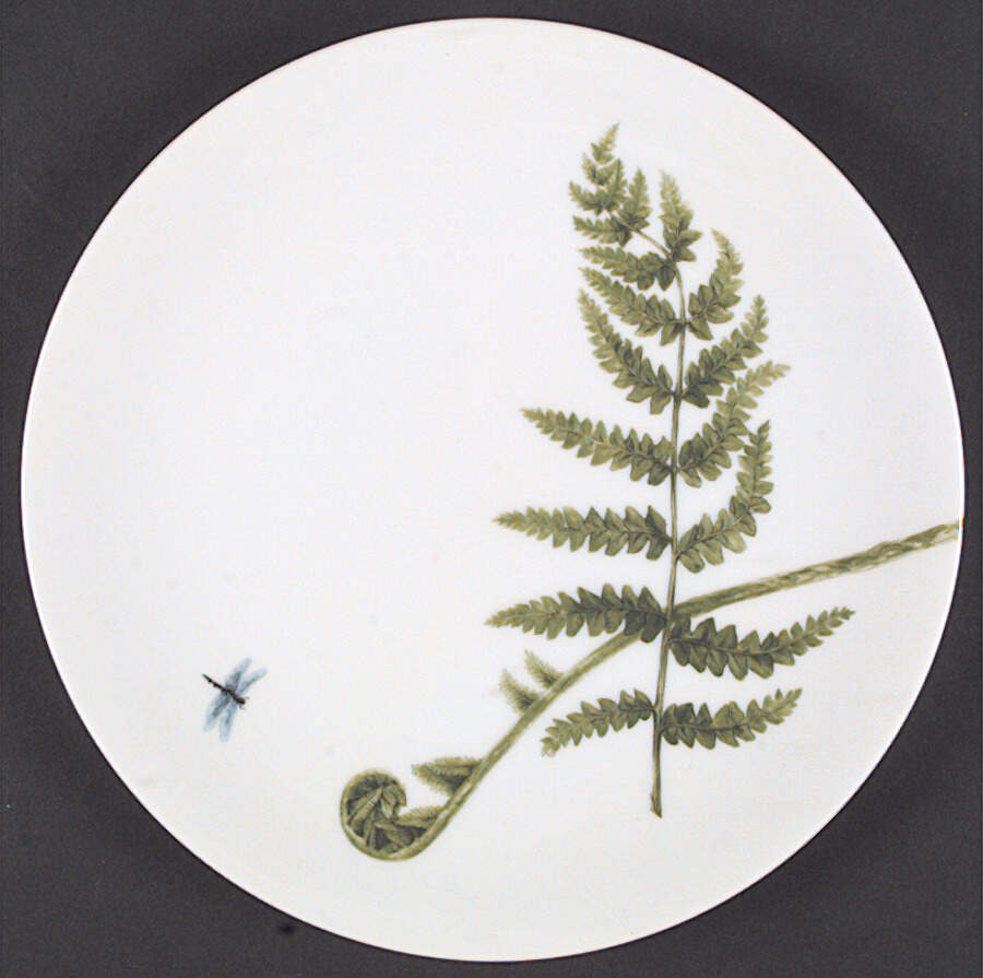Imperial Fern Salad Plate by Fitz & Floyd-1