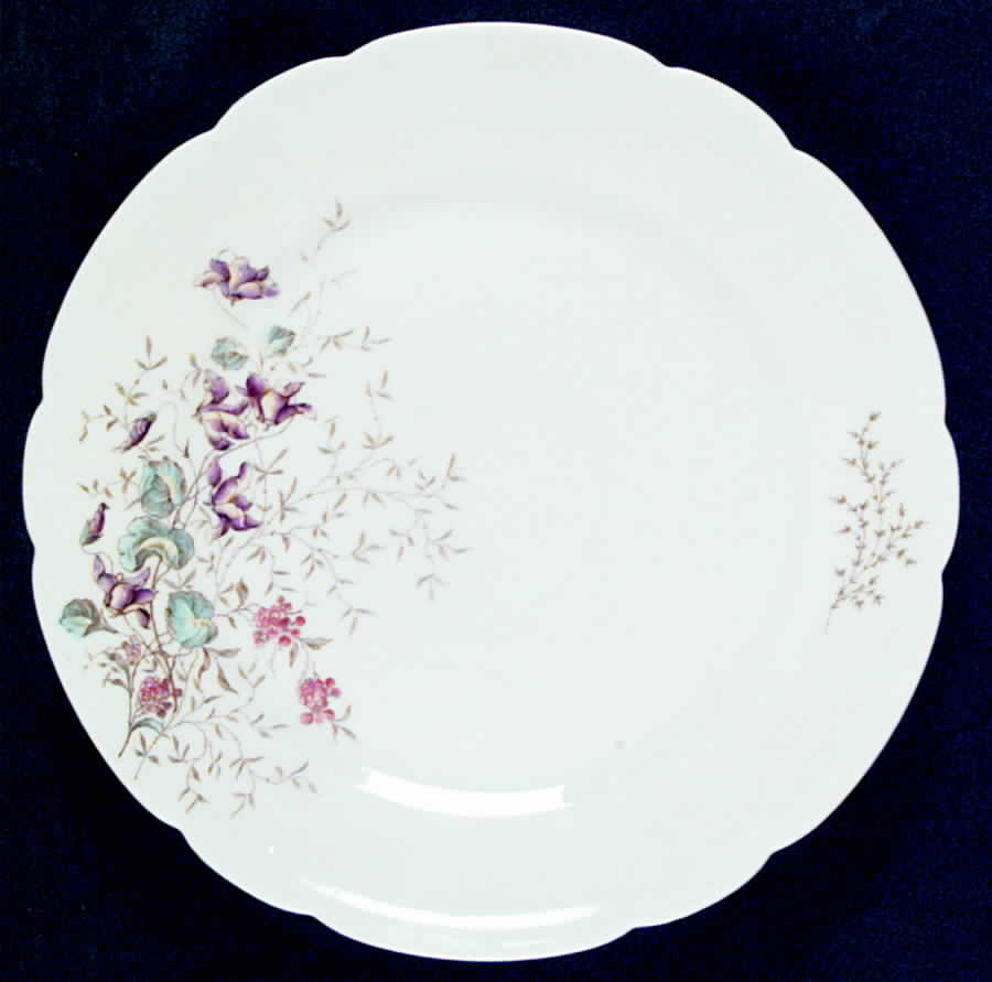 AUS107 Dinner Plate by Austria-1