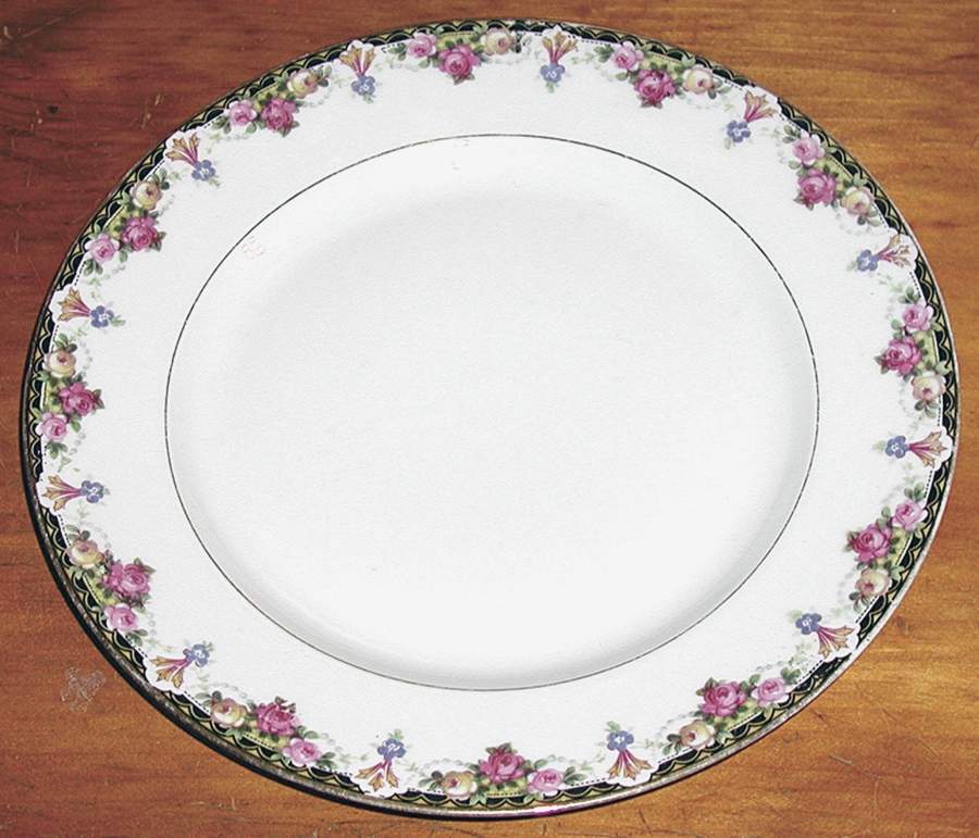 02572 Dinner Plate by Fraureuth-1