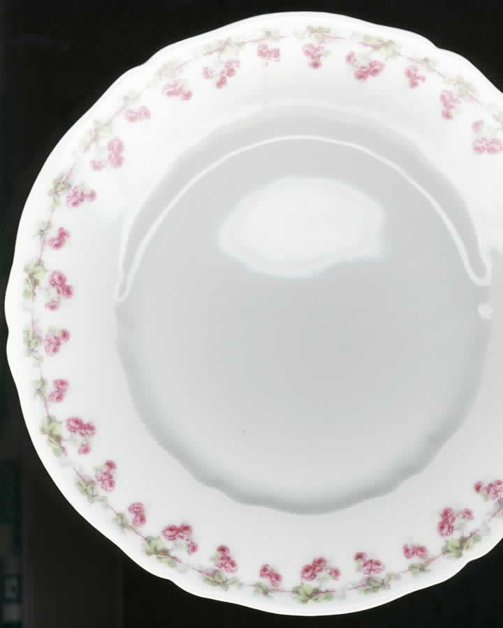 FRA29 Dinner Plate by Fraureuth-1