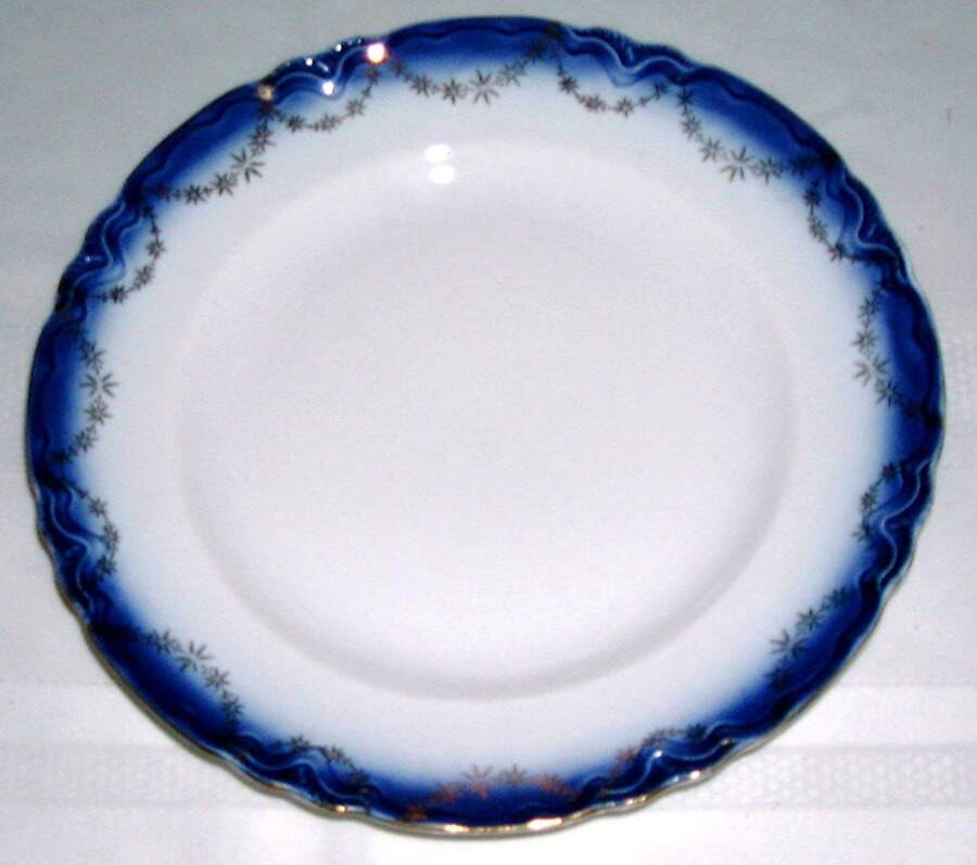 FSX100 Dinner Plate by French Saxon-1