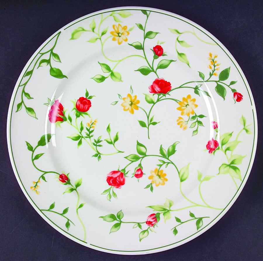 Greenbriar Dinner Plate by Farberware-1