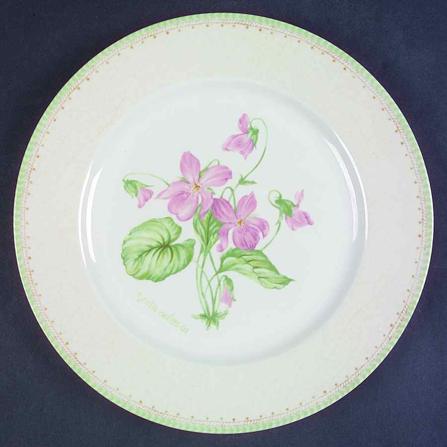 Carolina Dinner Plate by Farberware-1