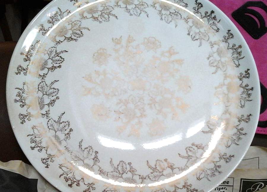 Fsx109 Dinner Plate by French Saxon-1