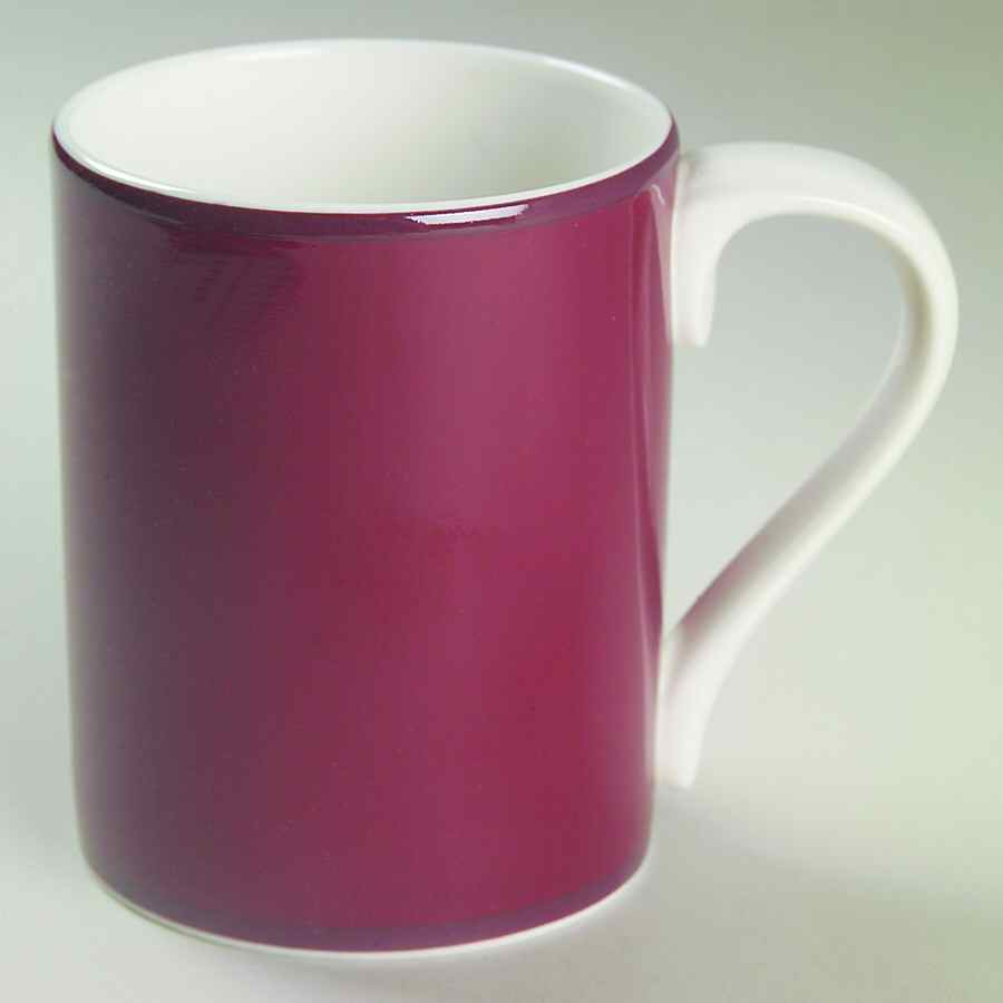 Correlations Garnet Mug by Fitz & Floyd-1