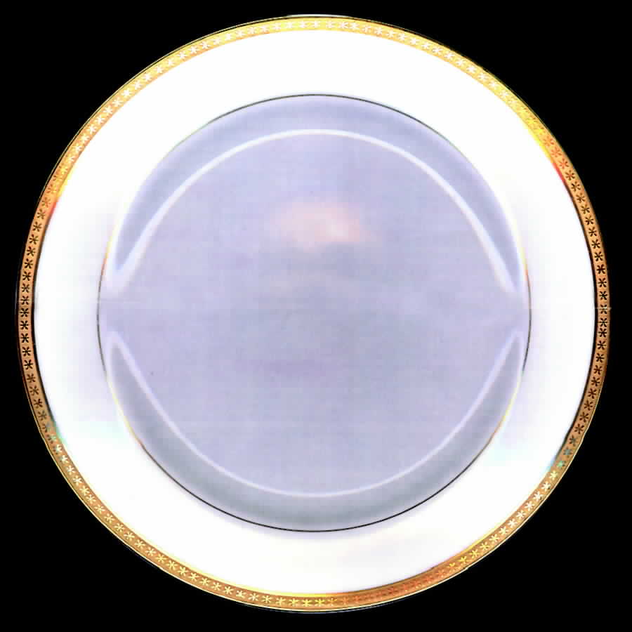 FXL2 Dinner Plate by French China - Limoges-1