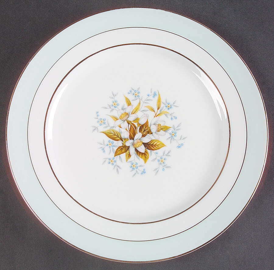 FCJ40 Dinner Plate by Fine China of Japan-1